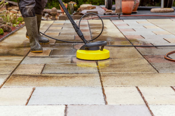 Best Animal Enclosure Cleaning  in Sonterra, TX